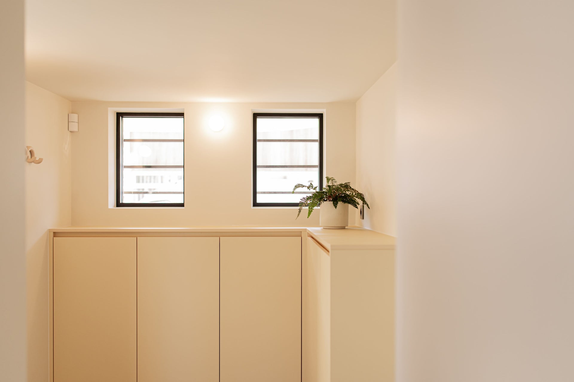 Muur mat in de kleur humusbeige in de inkom