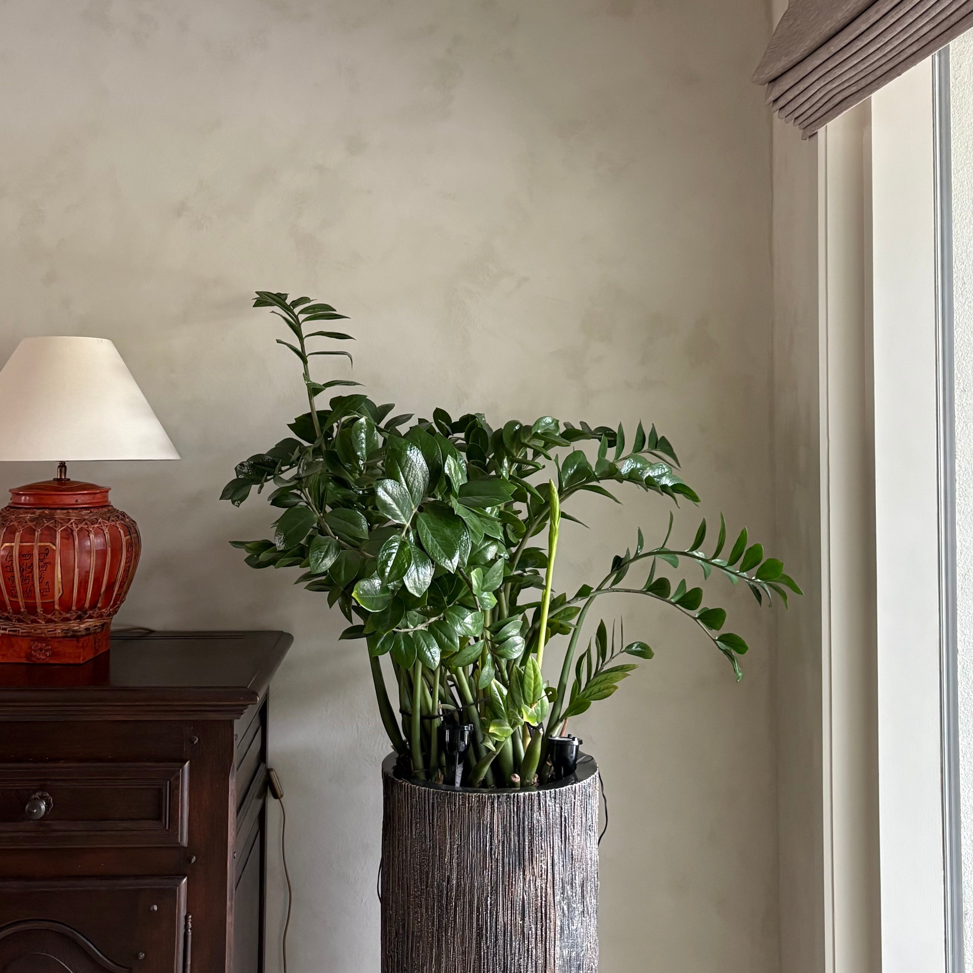 Kalkverf in de kleur Zandkorrelbeige in de woonkamer