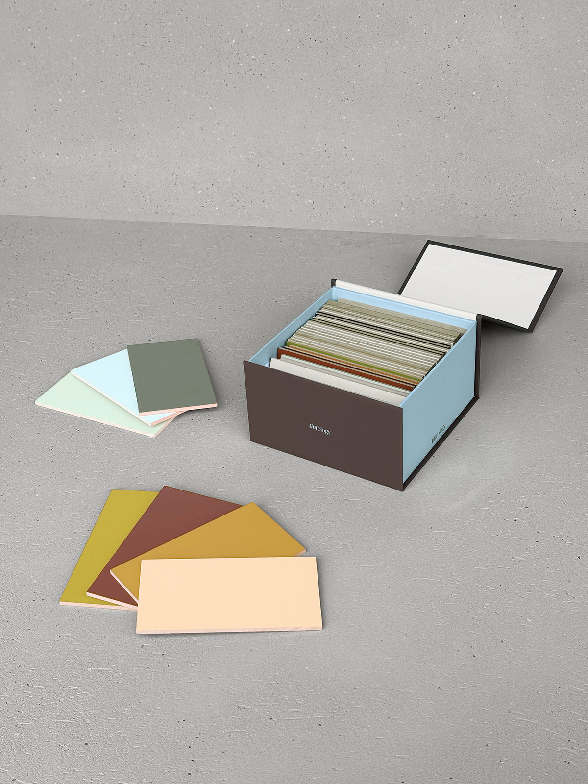 Tintology x Francq Colors Sample Box