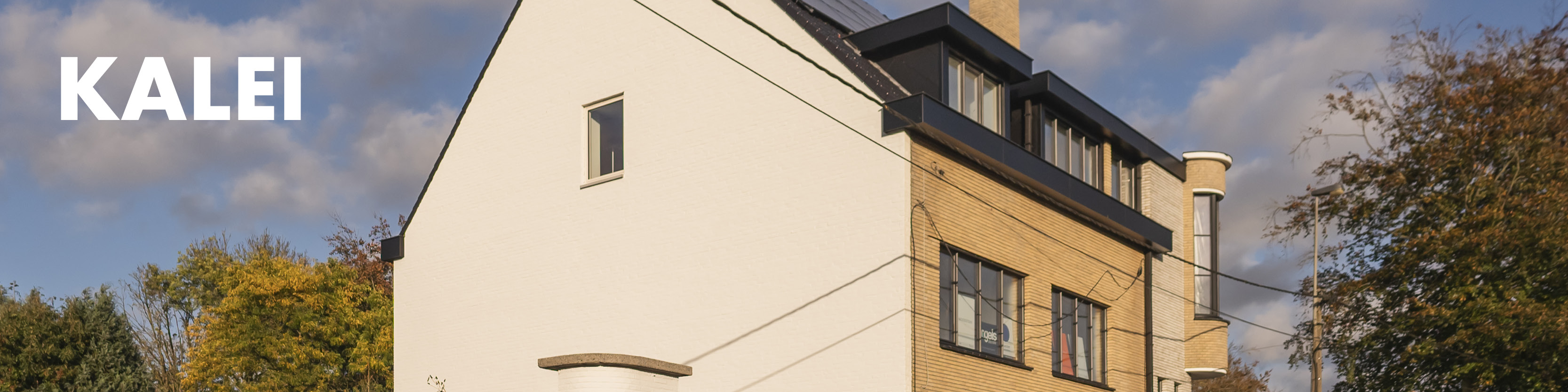 Paintfactory Kalei Banner